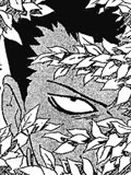 Chapitre 186 de Naruto