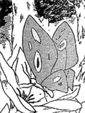 Chapitre 191 de Naruto