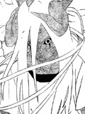 Chapitre 208 de Naruto