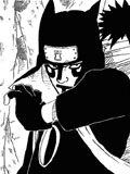 Chapitre 213 de Naruto