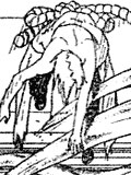 Chapitre 215 de Naruto