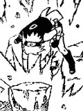 Chapitre 246 de Naruto