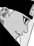 Chapitre 248 de Naruto