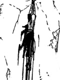 Chapitre 314 de Naruto