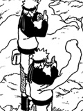 Chapitre 315 de Naruto