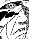 Chapitre 455 de Naruto