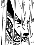 Chapitre 496 de Naruto