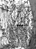 Chapitre 511 de Naruto