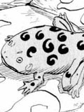 Chapitre 94 de Naruto