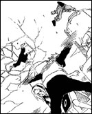 Chapitre 176 de Naruto
